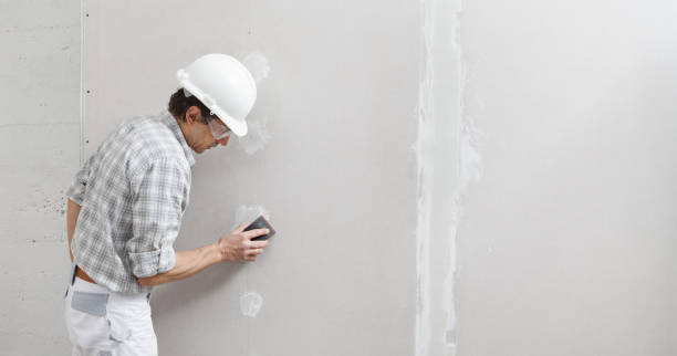 Eco-Friendly and Low-VOC Painting in Oakville, MO